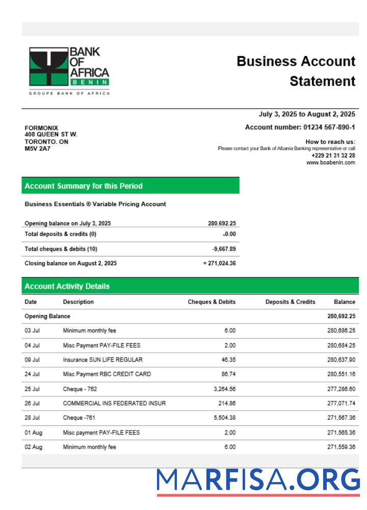 Blank Bank of Africa company checking account statement Word and PDF template